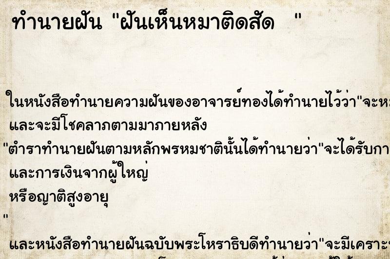 ทำนายฝันทำนายฝันฝันเห็นหมาติดสัด